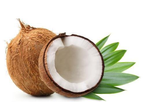 coconut