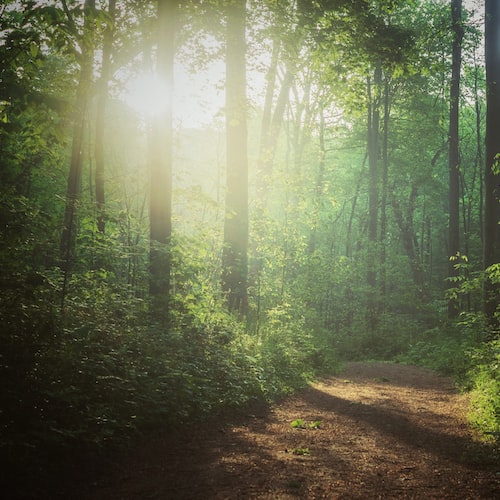 廢炭收集與運輸